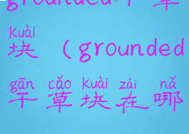 grounded干草块(grounded干草块在哪)