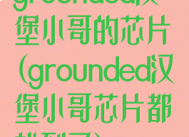 grounded汉堡小哥的芯片(grounded汉堡小哥芯片都找到了)