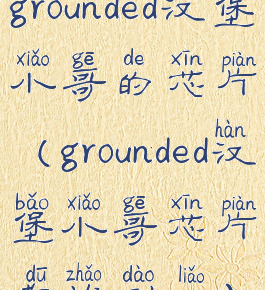 grounded汉堡小哥的芯片(grounded汉堡小哥芯片都找到了)