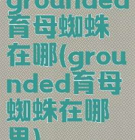 grounded育母蜘蛛在哪(grounded育母蜘蛛在哪里)