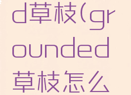 grounded草枝(grounded草枝怎么获得)