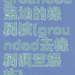 grounded落地的橡树枝(grounded去橡树调查爆炸)