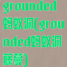 grounded蚂蚁洞(grounded蚂蚁洞藤蔓)