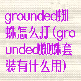 grounded蜘蛛怎么打(grounded蜘蛛套装有什么用)