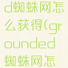 grounded蜘蛛网怎么获得(grounded蜘蛛网怎么打)