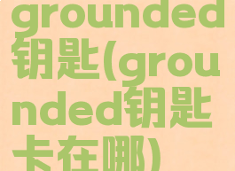 grounded钥匙(grounded钥匙卡在哪)