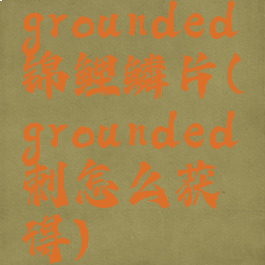 grounded锦鲤鳞片(grounded刺怎么获得)