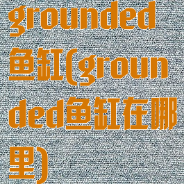 grounded鱼缸(grounded鱼缸在哪里)
