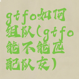 gtfo如何组队(gtfo能不能匹配队友)