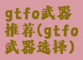 gtfo武器推荐(gtfo武器选择)