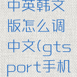 gtsport中英韩文版怎么调中文(gtsport手机app中文)