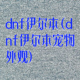 dnf伊尔本(dnf伊尔本宠物外观)