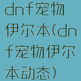 dnf宠物伊尔本(dnf宠物伊尔本动态)