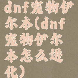 dnf宠物伊尔本(dnf宠物伊尔本怎么进化)