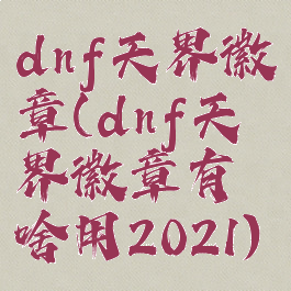 dnf天界徽章(dnf天界徽章有啥用2021)
