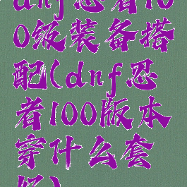 dnf忍者100级装备搭配(dnf忍者100版本穿什么套好)