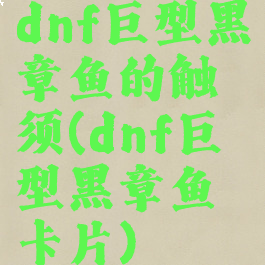 dnf巨型黑章鱼的触须(dnf巨型黑章鱼卡片)