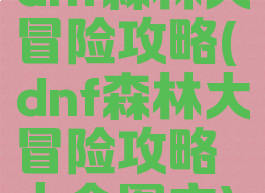 dnf森林大冒险攻略(dnf森林大冒险攻略大全图文)