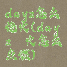 dayz怎么烧火(dayz篝火怎么点燃)