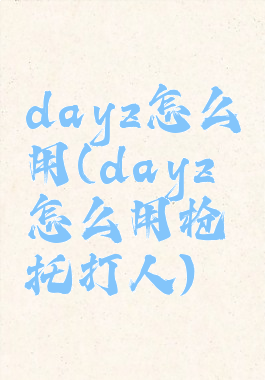 dayz怎么用(dayz怎么用枪托打人)