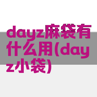 dayz麻袋有什么用(dayz小袋)