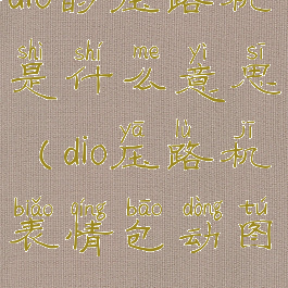 dio的压路机是什么意思(dio压路机表情包动图)