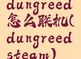 dungreed怎么联机(dungreedsteam)