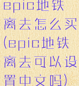epic地铁离去怎么买(epic地铁离去可以设置中文吗)