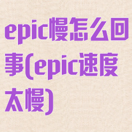 epic慢怎么回事(epic速度太慢)