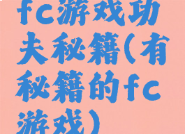 fc游戏功夫秘籍(有秘籍的fc游戏)