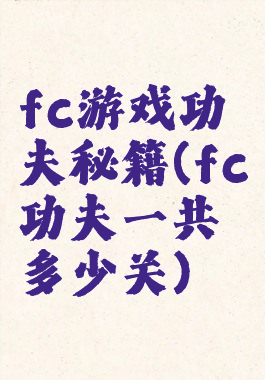 fc游戏功夫秘籍(fc功夫一共多少关)