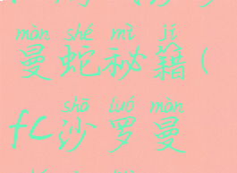 fc游戏沙罗曼蛇秘籍(fc沙罗曼蛇攻略)