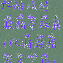fc游戏特救指令秘籍(FC特救指令金手指)