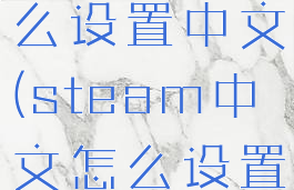 outlast怎么设置中文(steam中文怎么设置)