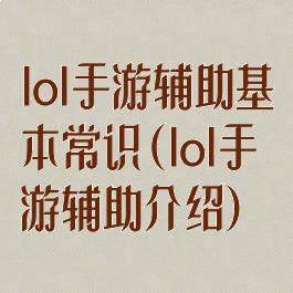 lol手游辅助基本常识(lol手游辅助介绍)