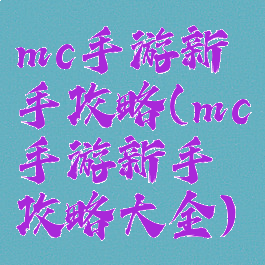 mc手游新手攻略(mc手游新手攻略大全)