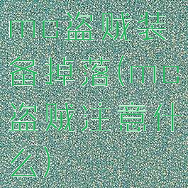 mc盗贼装备掉落(mc盗贼注意什么)
