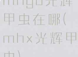 mhgu光辉甲虫在哪(mhx光辉甲虫)