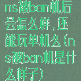 ns被ban机后会怎么样,还能玩单机么(ns被ban机是什么样子)