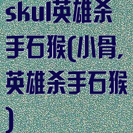 skul英雄杀手石猴(小骨,英雄杀手石猴)