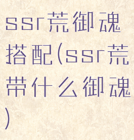 ssr荒御魂搭配(ssr荒带什么御魂)