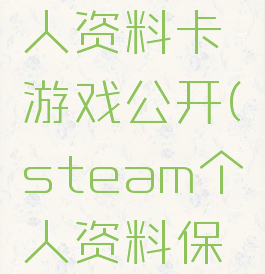 steam个人资料卡游戏公开(steam个人资料保持公开)