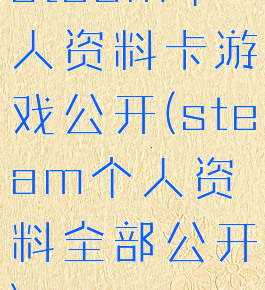 steam个人资料卡游戏公开(steam个人资料全部公开)