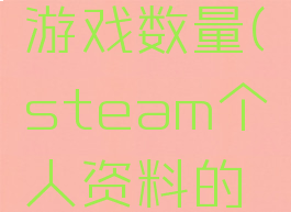 steam个人资料的游戏数量(steam个人资料的游戏数量在哪看)