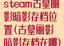 steam古墓丽影暗影存档位置(古墓丽影暗影存档在哪)