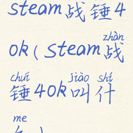 steam战锤40k(Steam战锤40k叫什么)