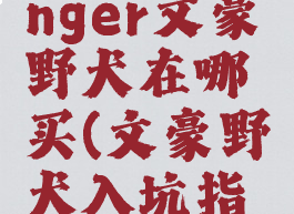 stormbringer文豪野犬在哪买(文豪野犬入坑指南)