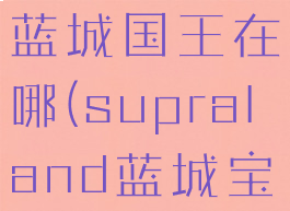 supraland蓝城国王在哪(supraland蓝城宝箱)