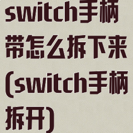 switch手柄带怎么拆下来(switch手柄拆开)