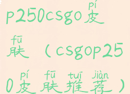 p250csgo皮肤(csgop250皮肤推荐)